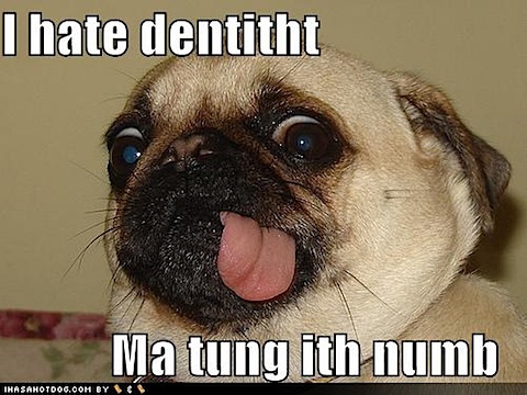 funny-dog-pictures-i-hate-dentist-pug.jpg