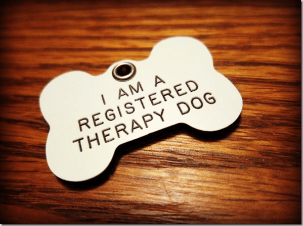 TherapyDogTag