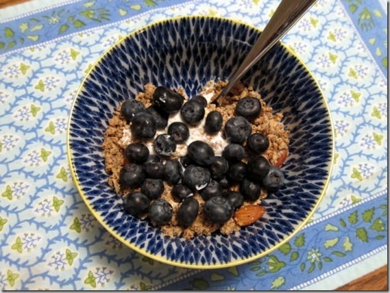greek-yogurt-with-blueberries-and-pa[1]