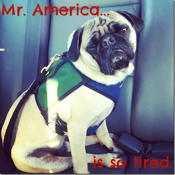 Mr._America