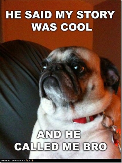 funny-dog-pictures-cool-story-pug