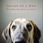 Inside-of-a-Dog-cover