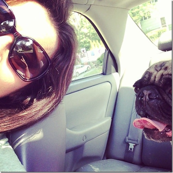 Tina and Murphy ride in the car