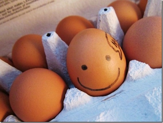 one happy egg