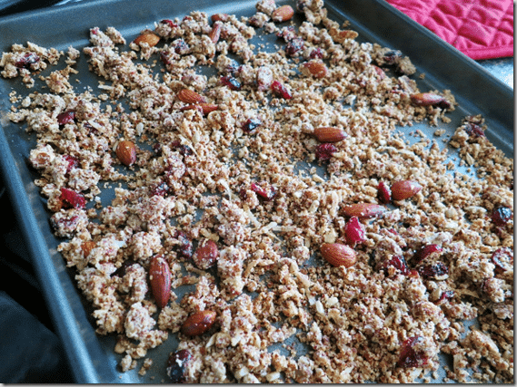 sweet_and_salty_granola_gluten-free