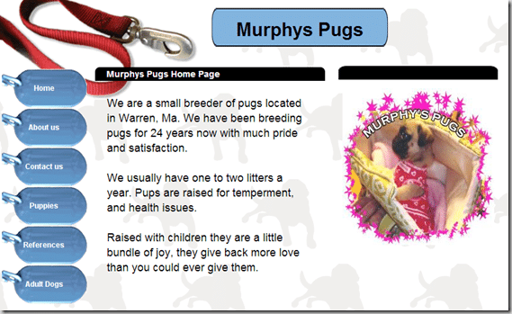 Murphys_Pugs__thumb_thumb