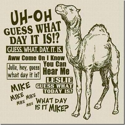 hump-day-camel-geico_thumb2