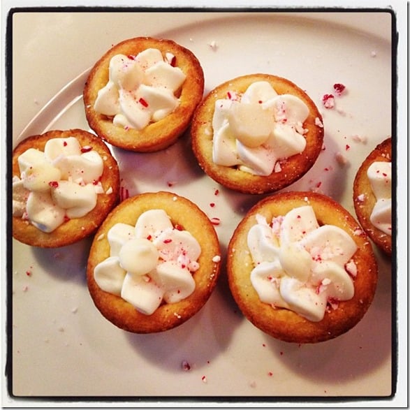 white chocolate peppermint and macademia tartlets