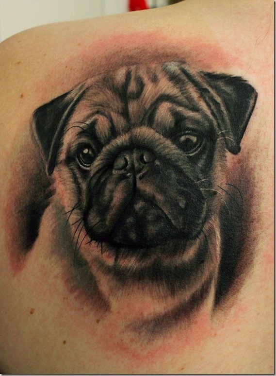 pug-dog-portrait-tattoo-on-shoulder-back (650x887)