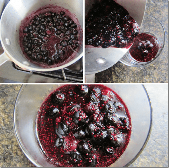 blueberry_chia_seed_pudding_directions