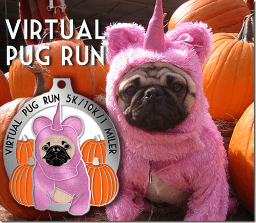The Virtual Pug Run