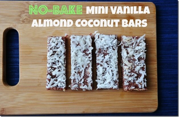 No-Bake Mini Vanilla Almond Coconut Bar