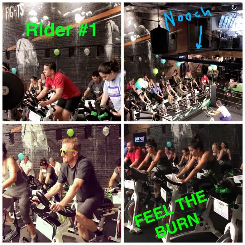 spin4 crohns and colitis cures