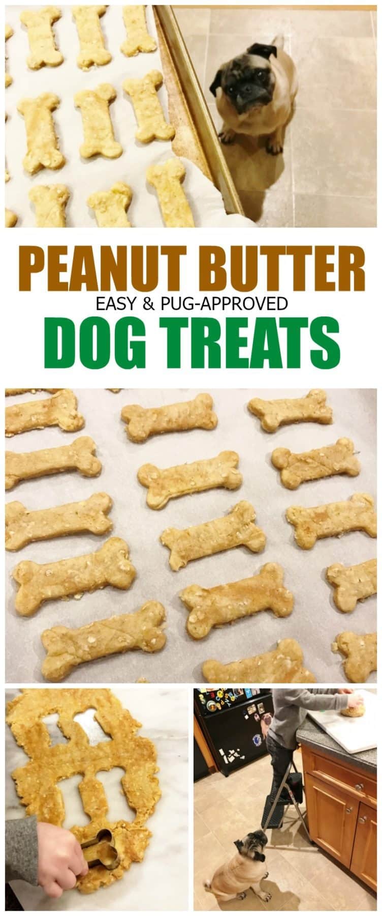 peanut-butter-dog-treats-pug-approved