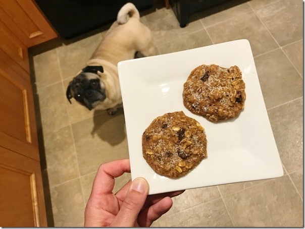 oikos salted caramel chocolate chip cookies