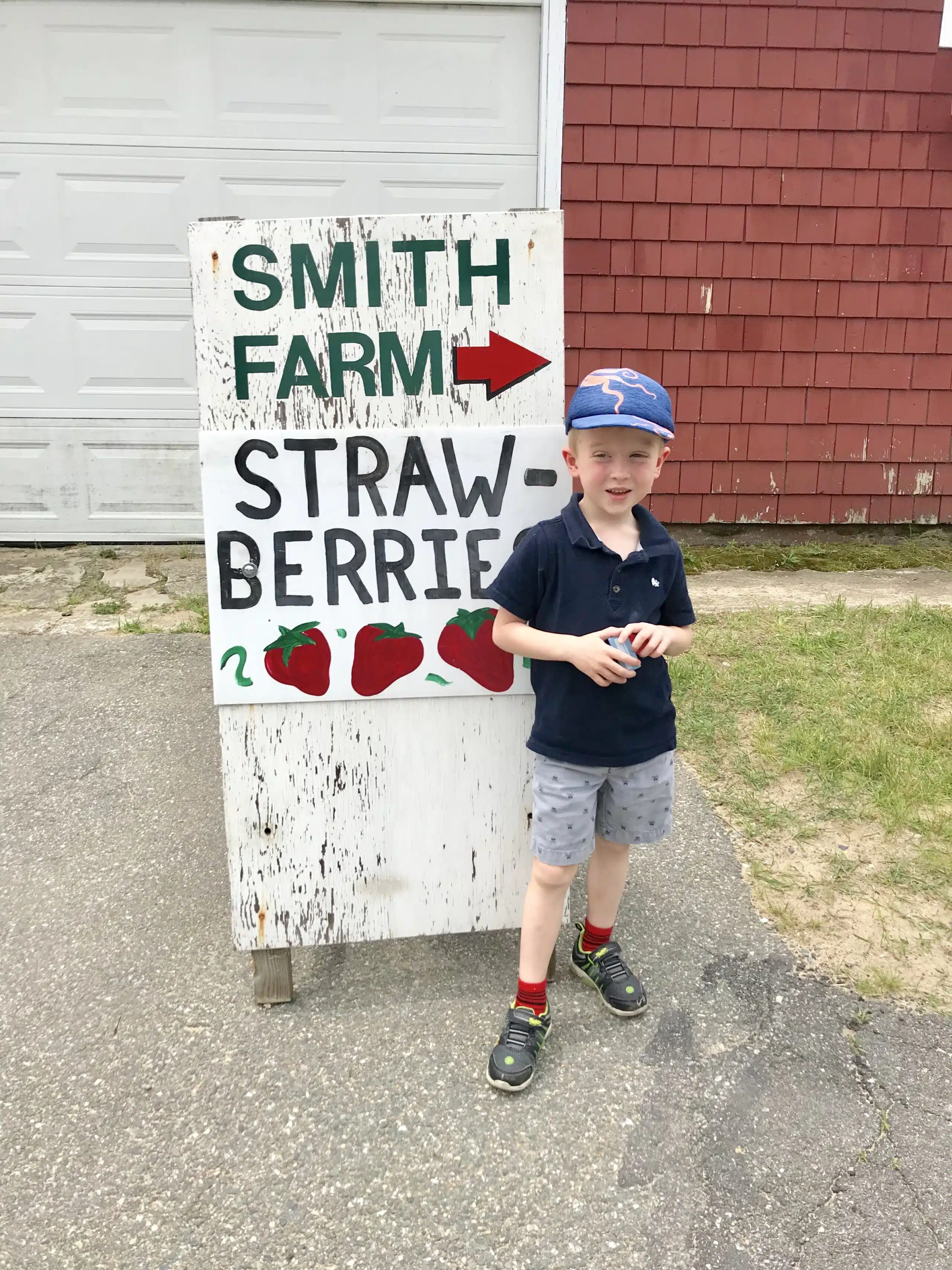 Strawberry Picking at C.N. Smith Farm