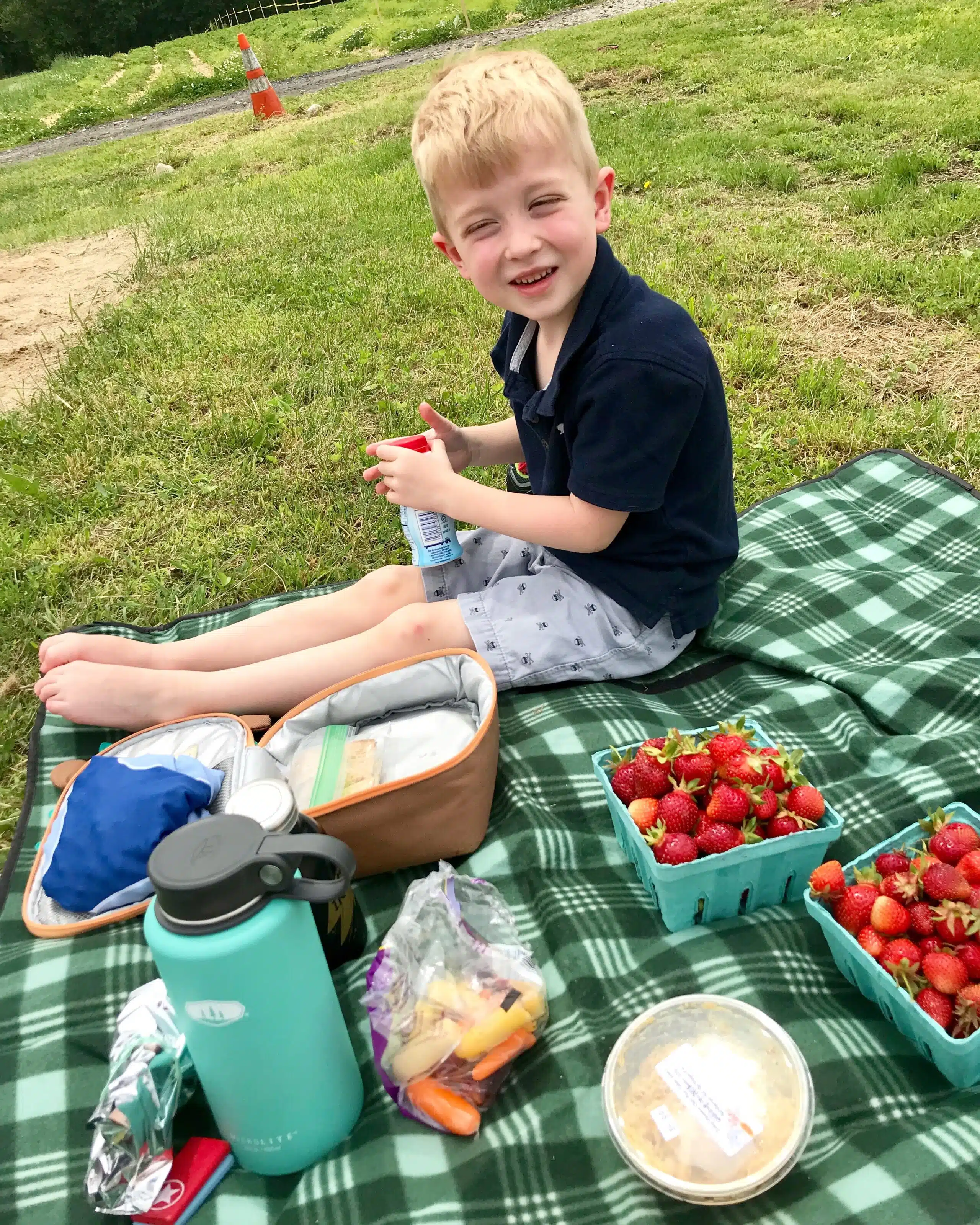 strawberry picking and picnic at farm on South Shore, Massachusetts 