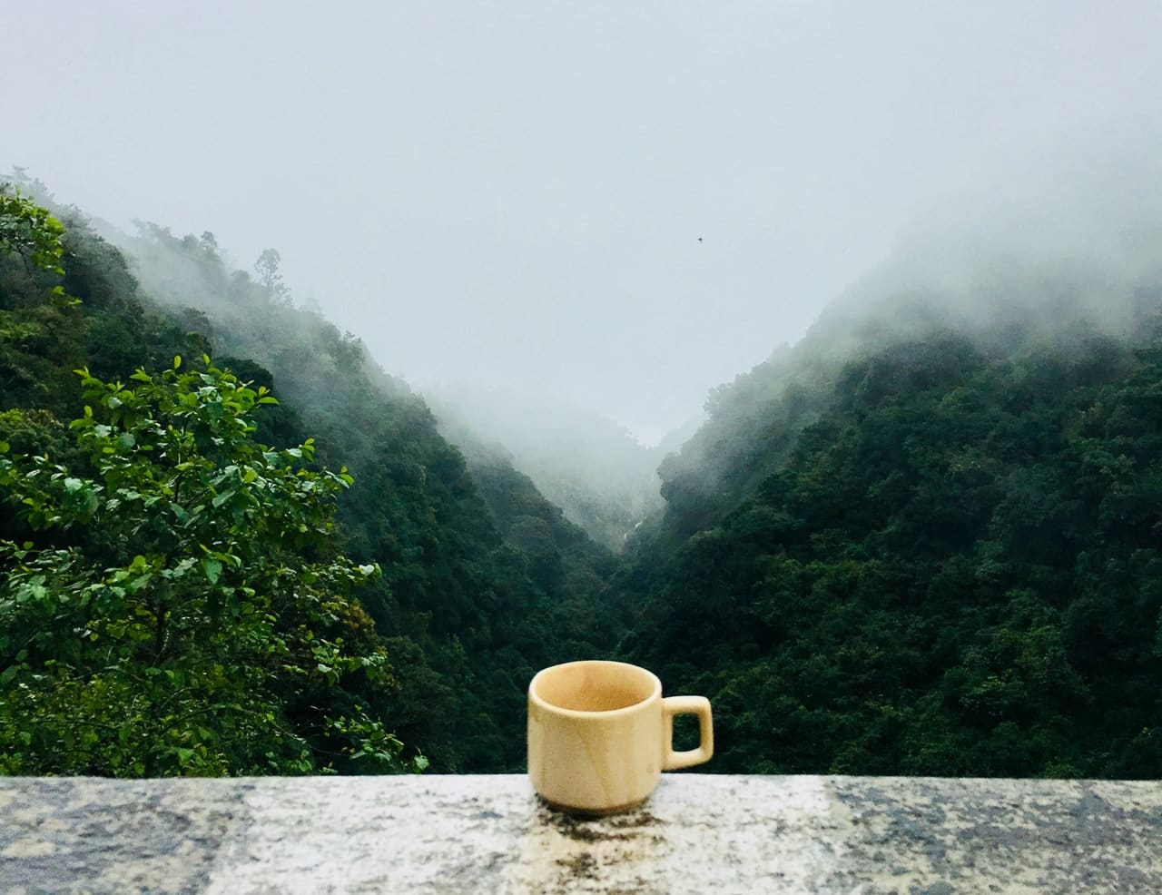 A photo of a mug of coffee overlooking a mountain scene