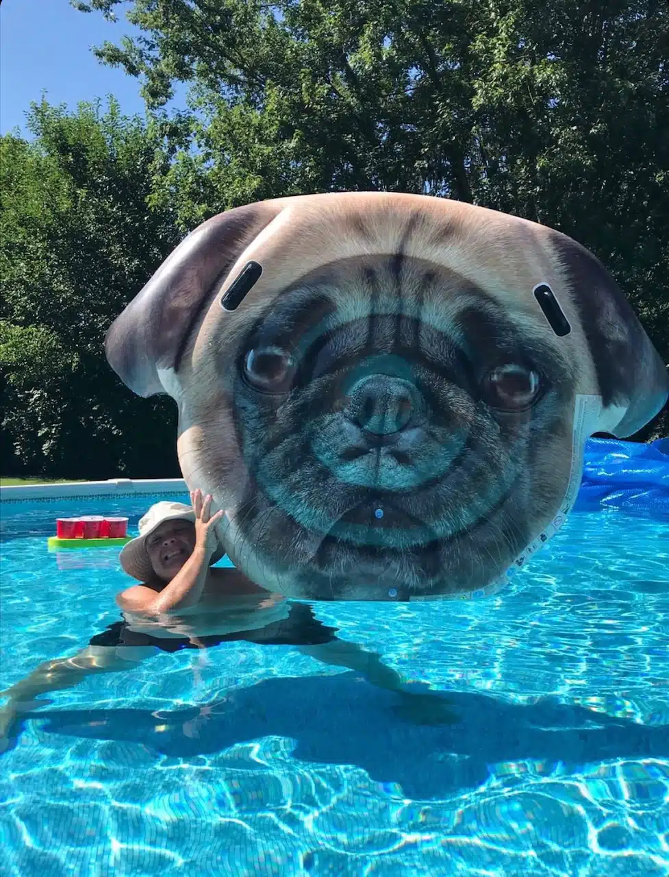 Pug face pool float