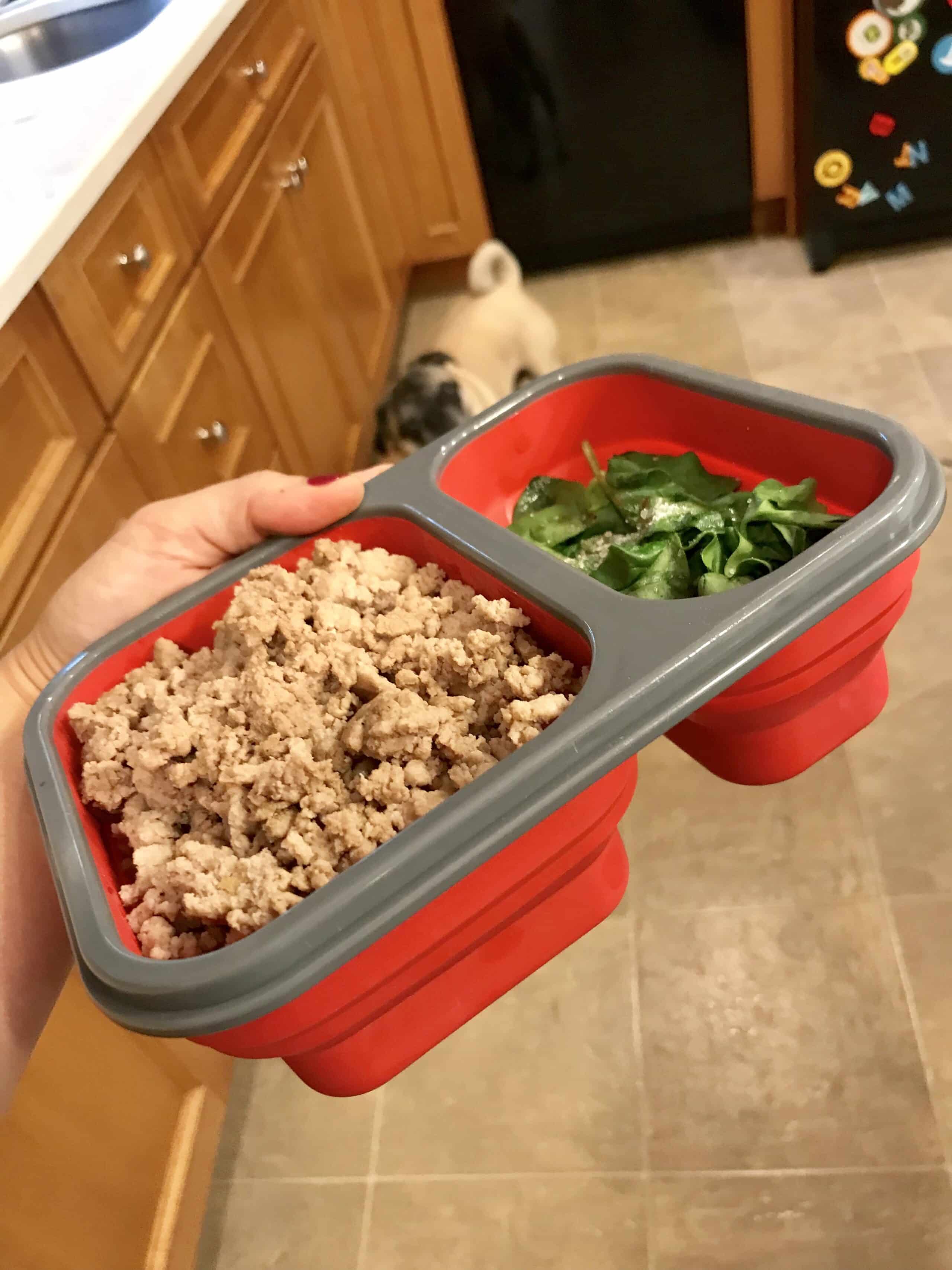 collapsible meal prep bowl for travel on a plane; Meal Prep Hacks for a Long Flight