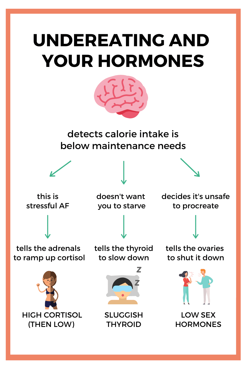 Undereating and your hormones